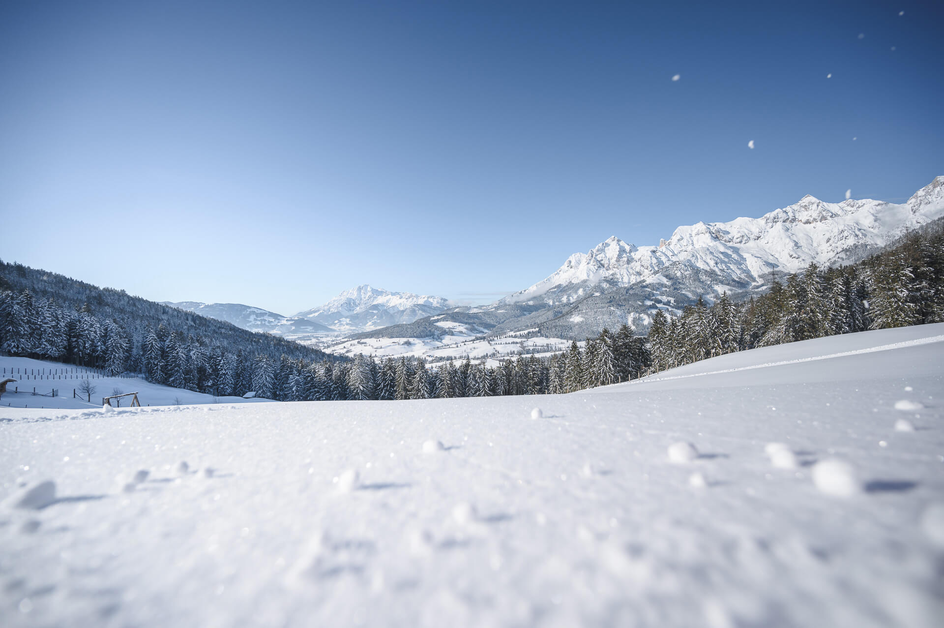 Winterwandern